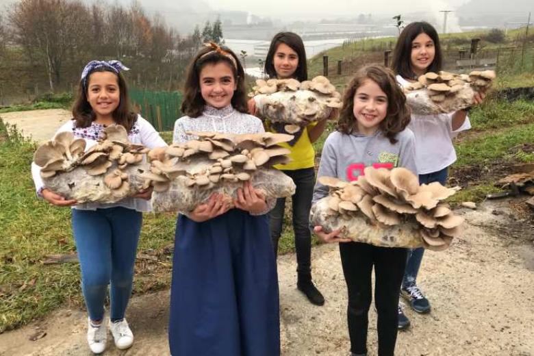Five girls holding mushrooms plants