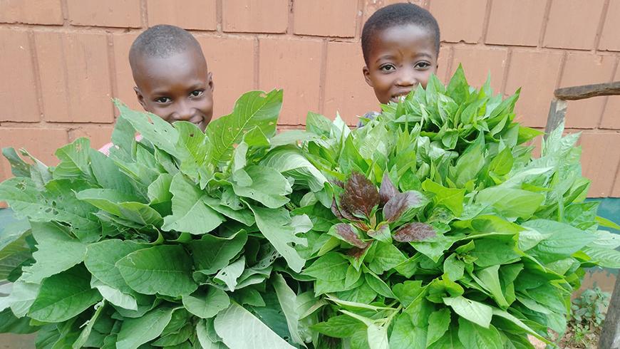 Two young African children hold up large bunches of green leafy vegetables