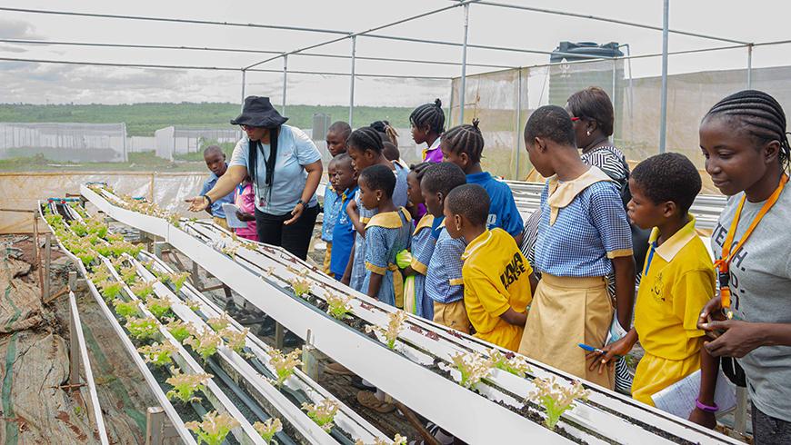 A group of African children in school uniforms observe plant beds inside a greenhouse
